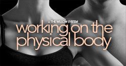 Working On The Body: Using the Willow System...