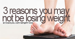 Why am I not losing weight? Enter... Weight Loss With Willow