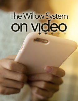 The Willow System On Video