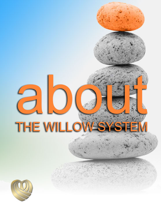 Read: Simply put... The Willow System Is All About You