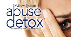 Willow System: Get Yourself An Abuse Detox Right Now In Your Own Home