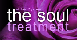 Soul Healing: Treatment With The Willow System