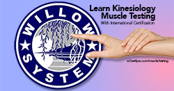 Systemic Kinesiology Muscle Testing Level 1 