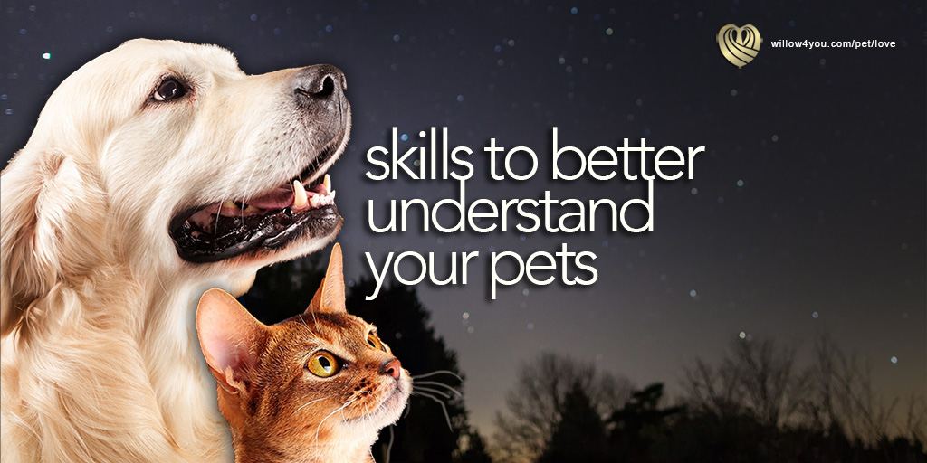 Skills To Better Understand Your Pets